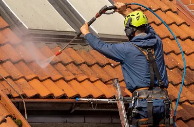 Démoussage et hydrofuge de toiture à Chapelle-Vicomtesse